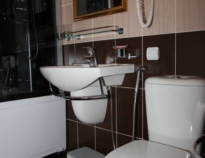 Номер полулюкс (с пансионом) 2 корпус - Санаторий «Леневка»