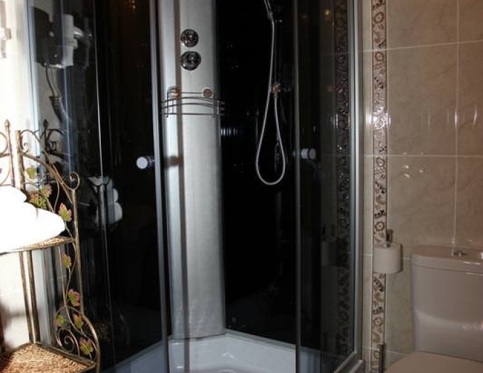 1-местный номер полулюкс - Санаторий «Леневка»