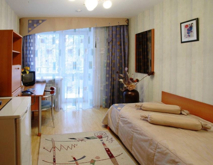 1-местный 1-комнатный номер стандарт - Санаторий «Леневка»